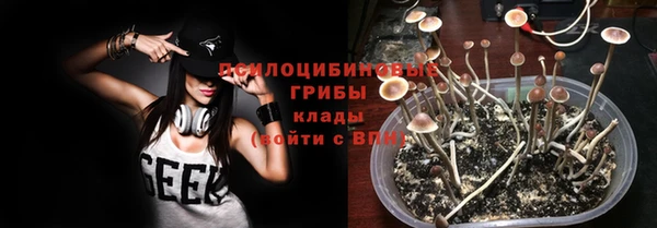a pvp Новозыбков
