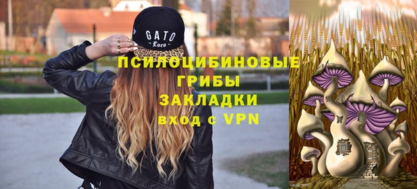 наркотики Алексин