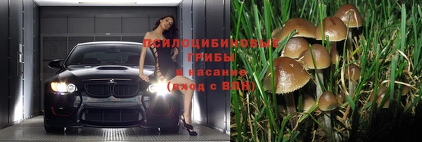 соль ск Алексеевка