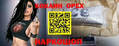 крисы Севастополь