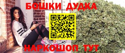 крисы Севастополь