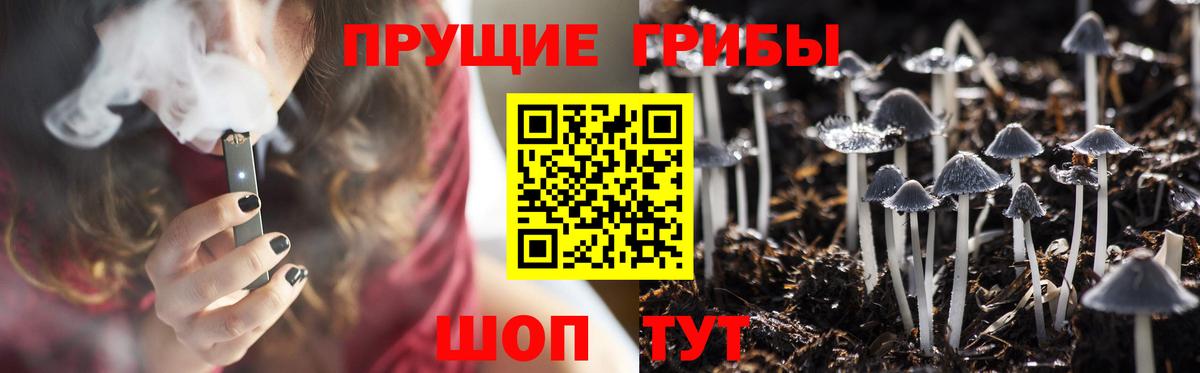 Галлюциногенные грибы GOLDEN TEACHER  Псилоцибиновые грибы MAGIC MUSHROOMS  наркота  Арзамас  Вход с VPN 